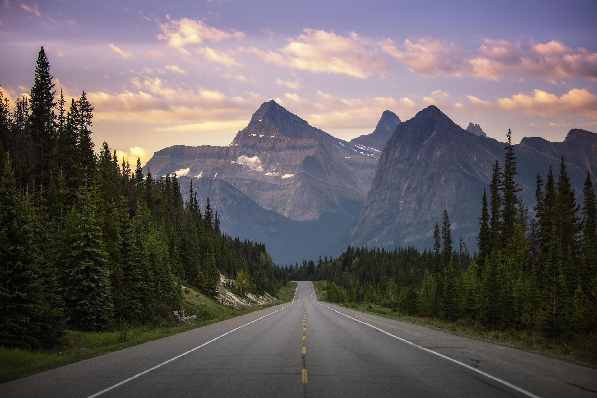 A scenic road cuts through a dense evergreen forest leading toward dramatic Canadian Rocky Mountain peaks at sunset.