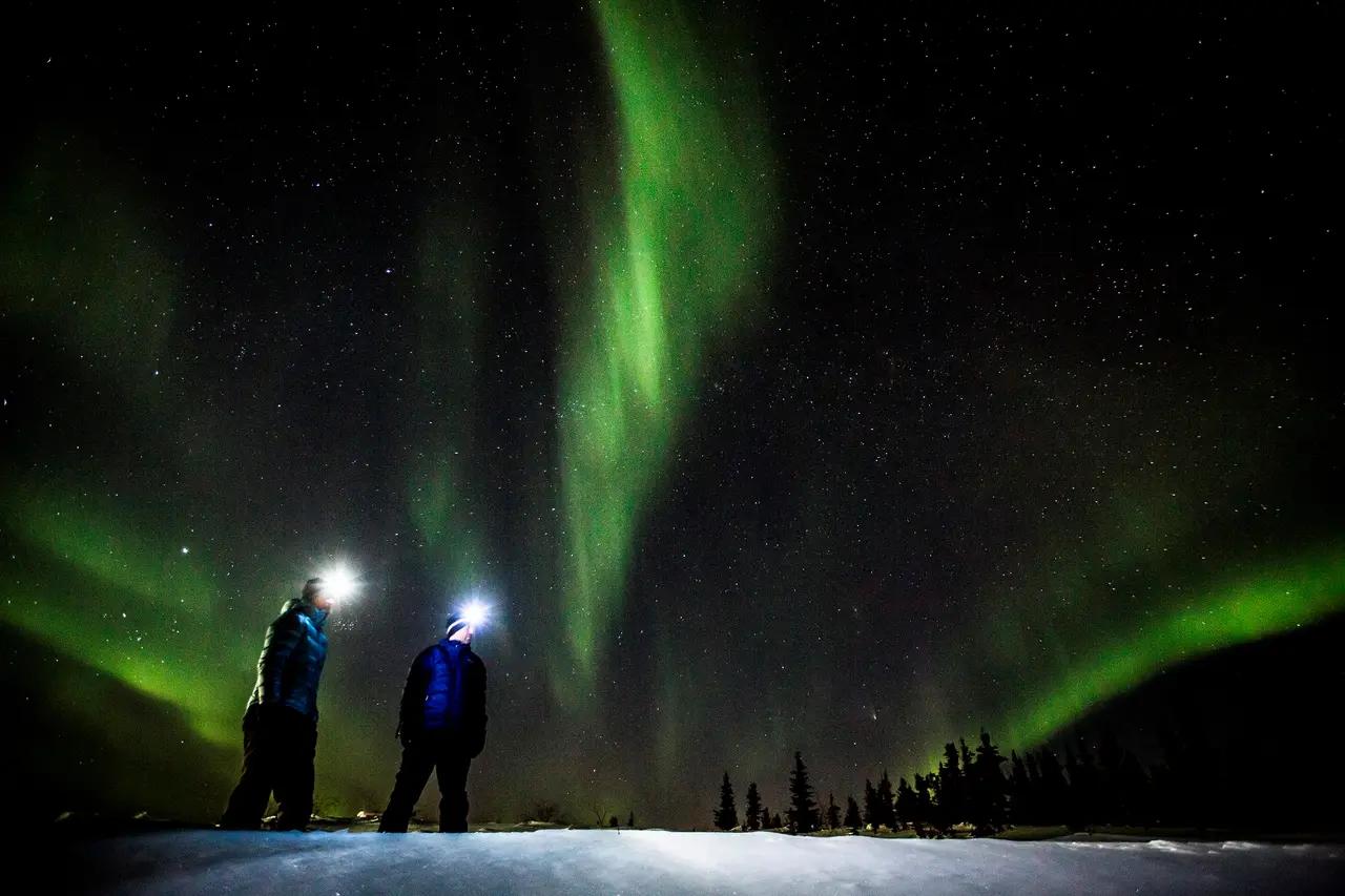 Two people wearing headlamps and winter jackets stand in darkness gazing up at brilliant green curtains of the Northern Lights erupting vertically across a star-filled sky above a silhouetted treeline — one of the defining experiences of the Great Northern Circle Route, a 3,190-kilometre drive from Prince George along the Alaska Highway into northern BC and the Yukon.
