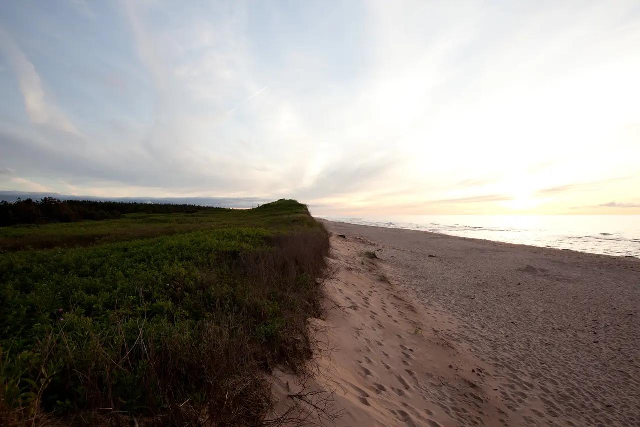 A quiet stretch of soft pink-red sand beach at dusk, edged by a low grassy dune bank dropping sharply to the shore, with calm water and a pale sunset sky stretching to the horizon — Greenwich Beach in Prince Edward Island National Park, a less-crowded alternative to Cavendish that borders the province's largest and rarest sand dune ecosystem.
