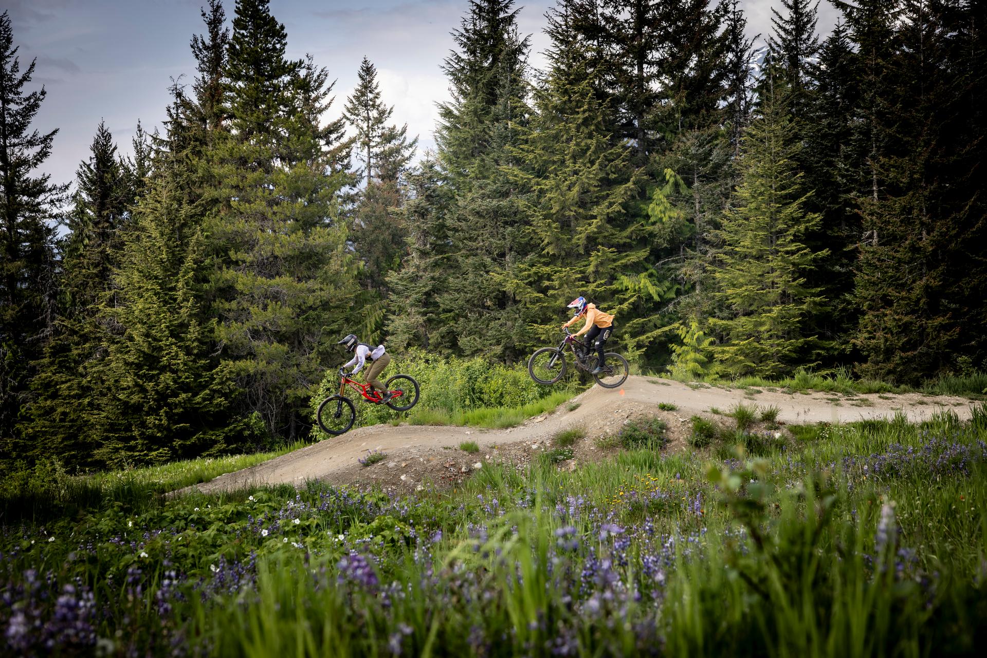 Two mountain bikers ride jumps on a forested trail surrounded by wildflowers and tall evergreen trees at Whistler Mountain Bike Park in Whistler, British Columbia, during summer.