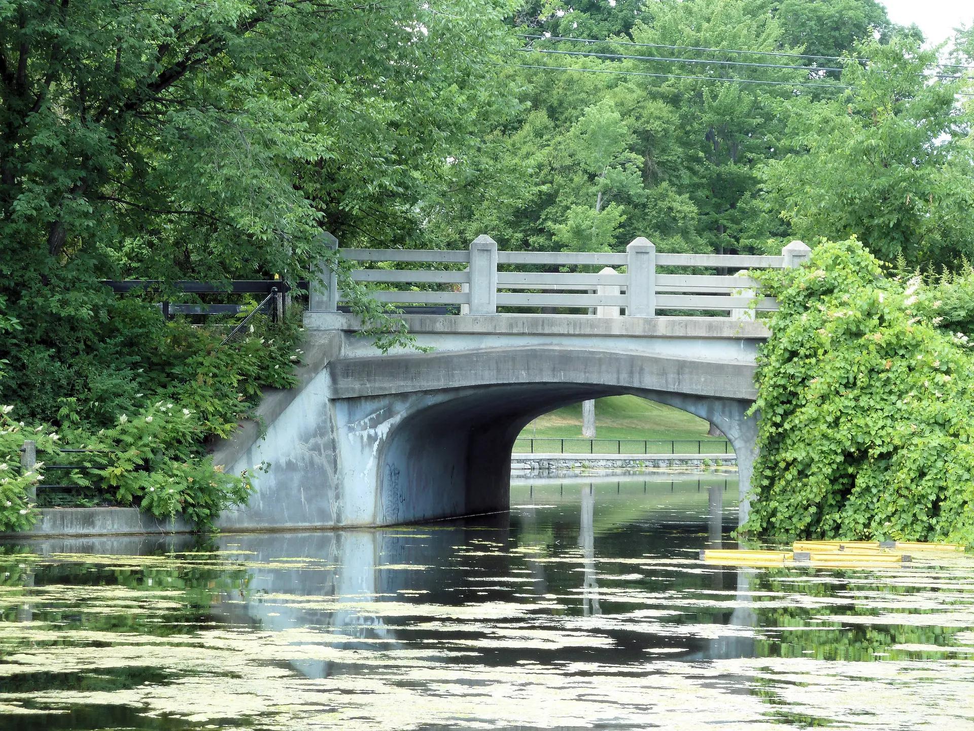 A concrete arched bridge spanning the calm green waters of Ottawa's Rideau Canal surrounded by lush summer trees