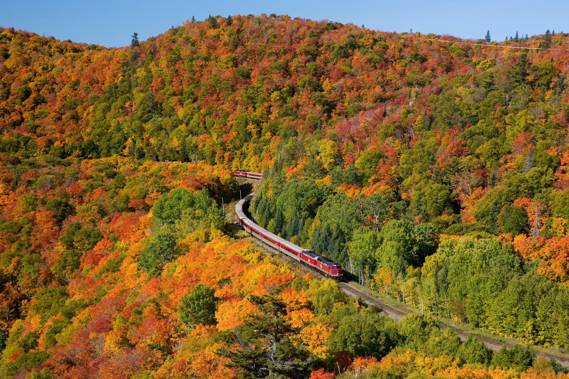 Aerial view of the Agawa Canyon Tour Train winding through a hillside blanketed in brilliant red, orange and yellow autumn foliage in the Canadian Shield wilderness of northern Ontario