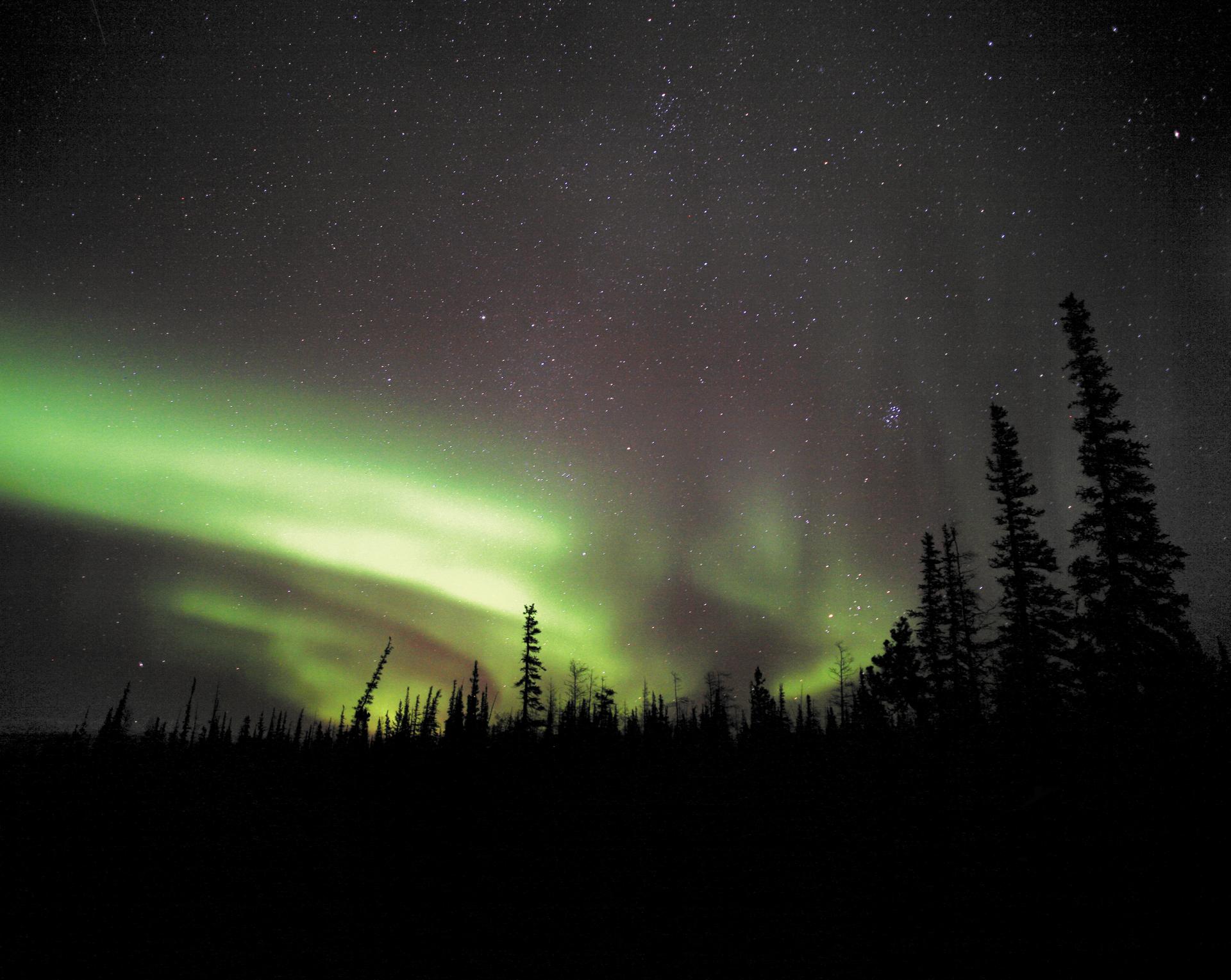 Vivid green aurora borealis sweeping across a star-filled night sky above a silhouetted boreal forest treeline near Churchill, Manitoba, on VIA Rail's Winnipeg to Churchill rail route