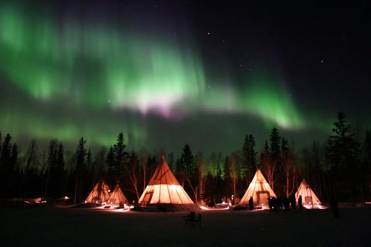 Glowing teepees lit up beneath vivid green and purple northern lights in winter, with a boreal forest silhouetted against the night sky.