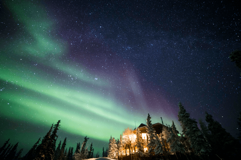 Vivid green and purple northern lights streak across a star-filled sky above glowing Blachford Lake Lodge near Yellowknife.
