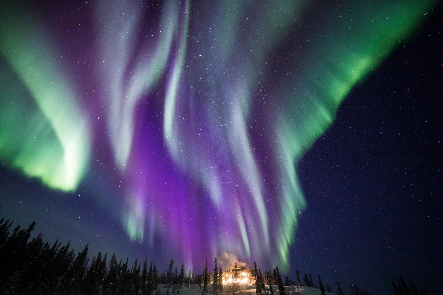 A close-up view of vivid purple and green aurora borealis ribbons swirling directly overhead against a starry sky.
