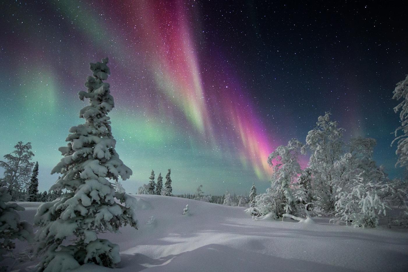 Colourful northern lights above a snow-covered forest under a starry sky