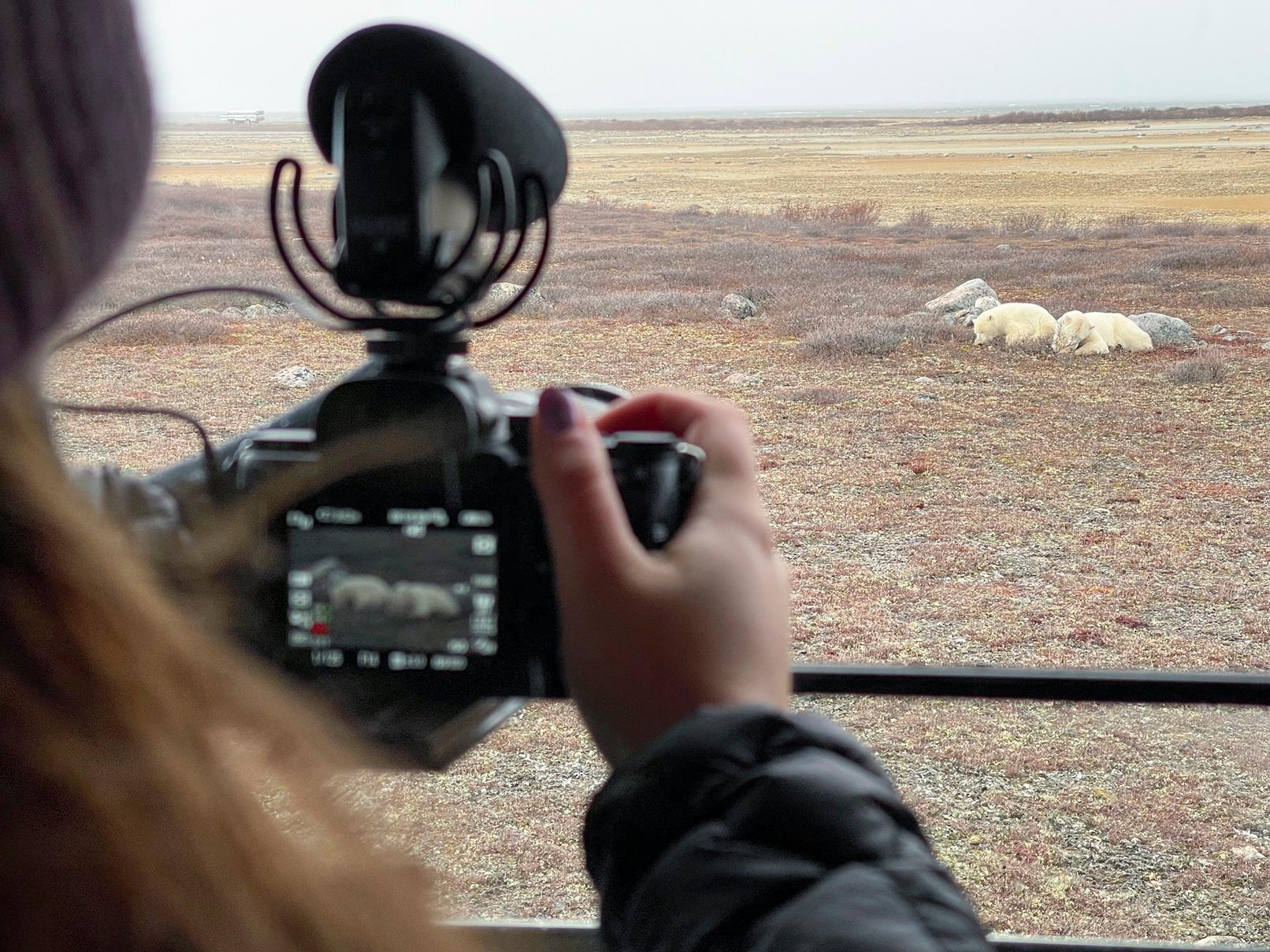 Photographer capturing two polar bears resting on the tundra