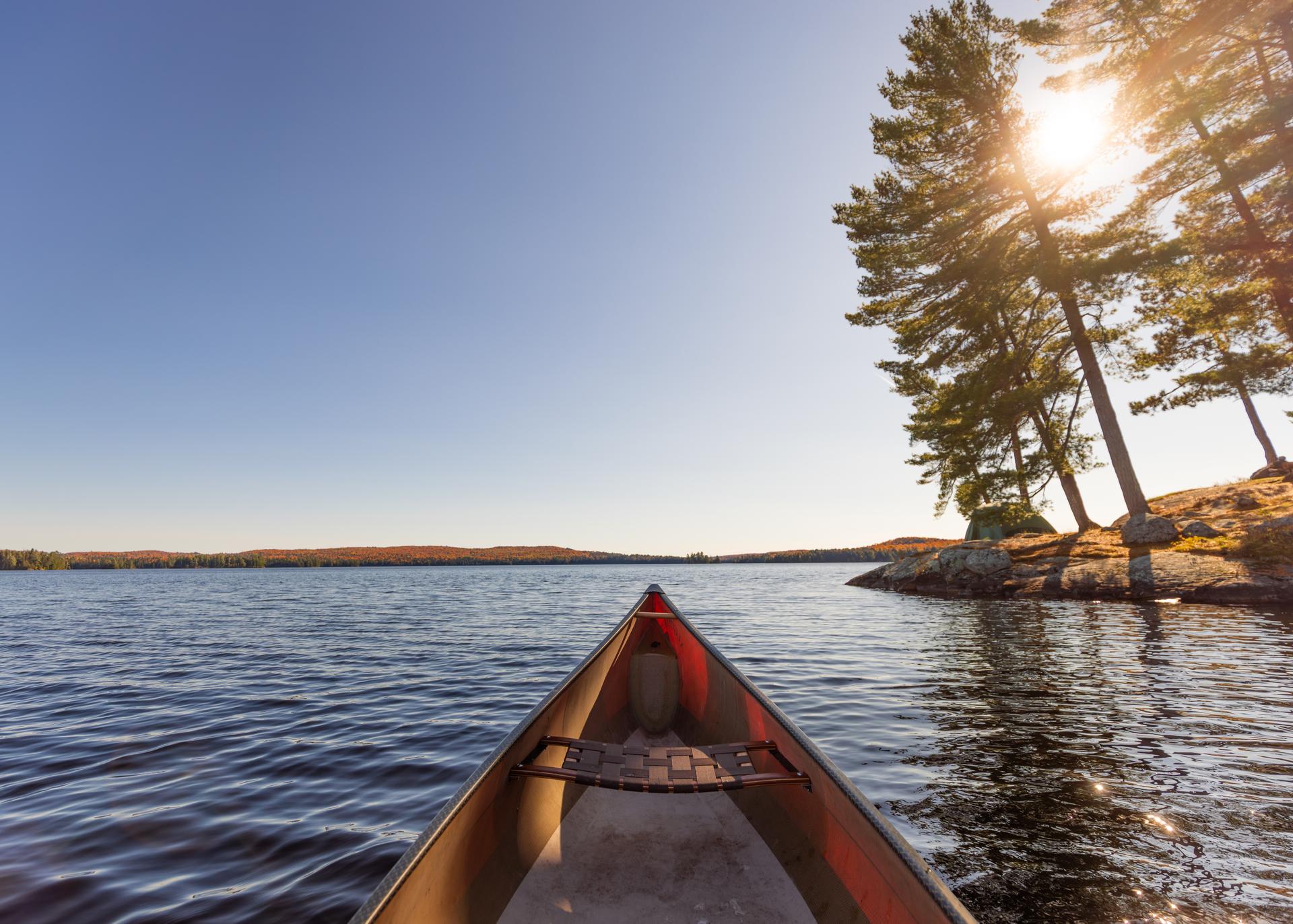 Canoe bow pointed toward a rocky, pine-covered shoreline on Opeongo Lake in Algonquin Provincial Park, with a tent visible among the trees and afternoon sun filtering through the pines.