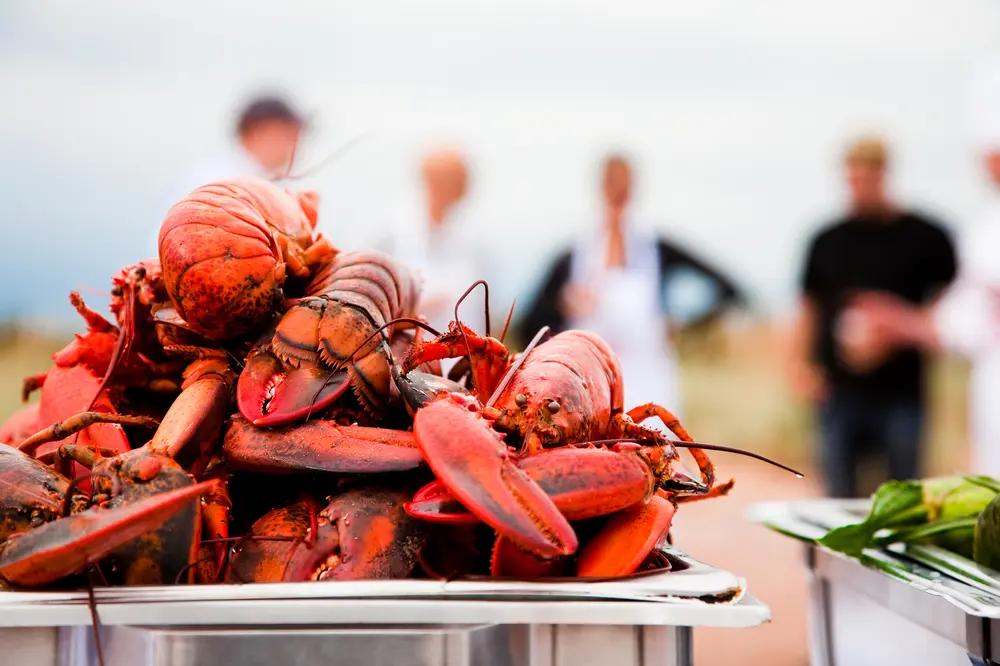 Platter piled high with freshly cooked Atlantic lobster at an outdoor seaside gathering in Prince Edward Island