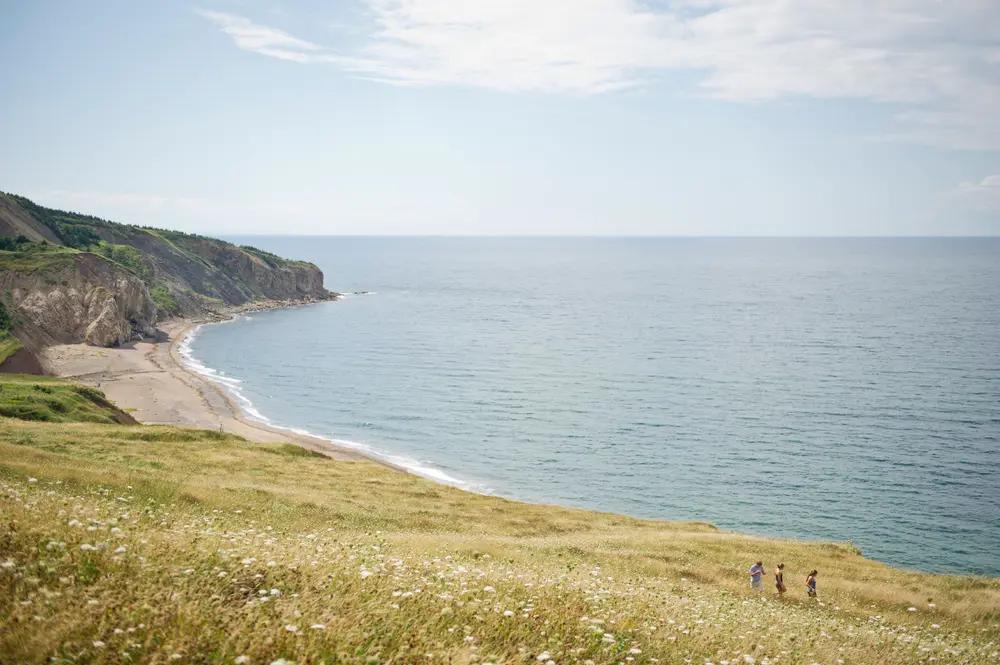 Hikers on a wildflower-covered headland above a sheltered beach and sea cliffs on Cape Breton Island