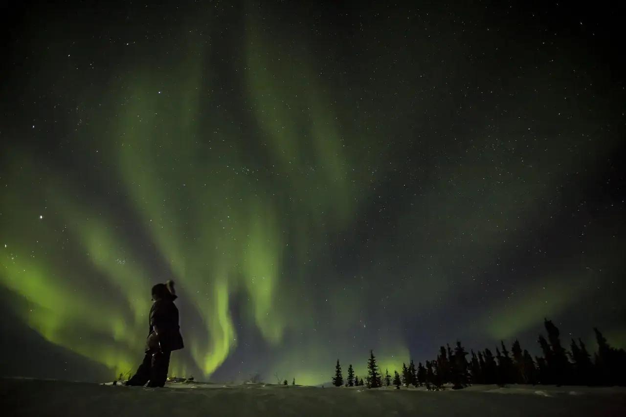 A lone person in a heavy winter coat standing on a snow-covered ridge gazing up at vivid green curtains of aurora borealis dancing across a star-filled night sky above a dark spruce treeline near Whitehorse, Yukon, Canada
