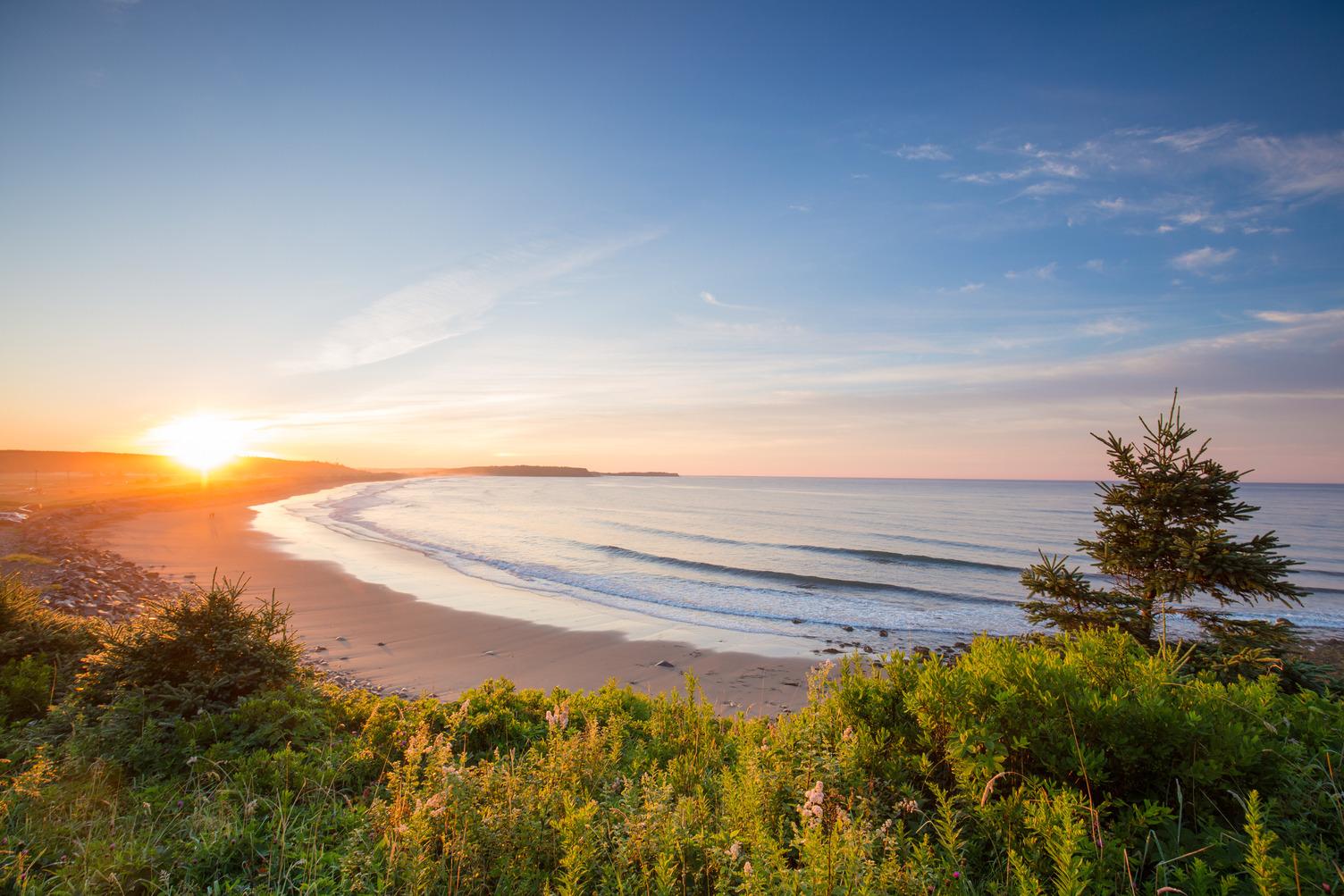 The sun sets over a curved sand beach and gentle surf along Nova Scotia's Eastern Shore, framed by coastal wildflowers and a lone spruce.