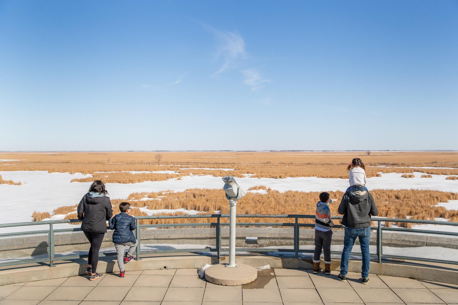A family looking out over the frozen wetlands and golden reeds from the observation deck at Oak Hammock Marsh, Manitoba