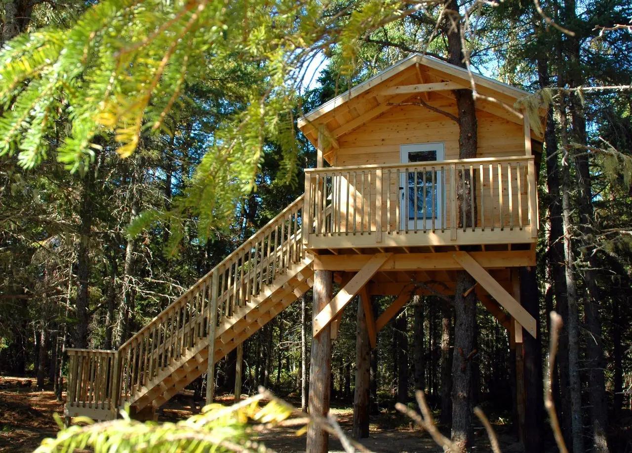A wooden treehouse elevated among pine and birch trees at Camping Miramichi in New Brunswick, with a staircase leading up.