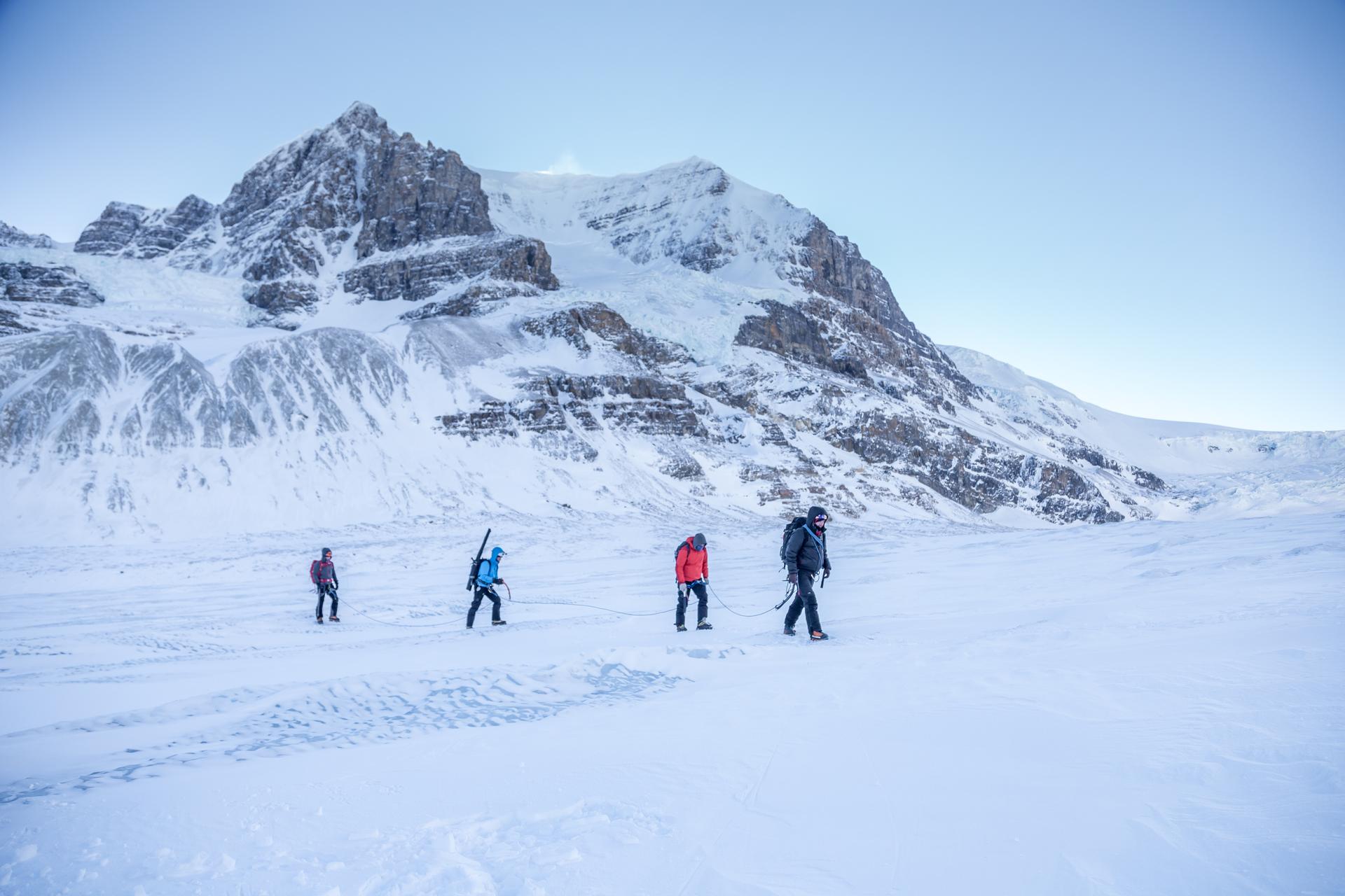 A roped group of hikers crosses the Athabasca Glacier's icefield with rugged snow-capped peaks rising behind them