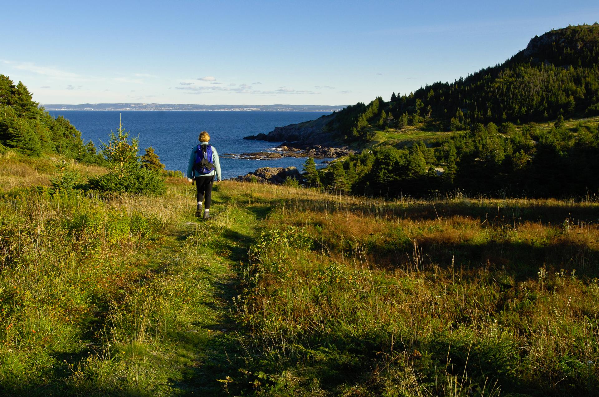 Hiker with a backpack walking a grassy coastal trail toward the sea and forested hills in the evening light near Cupids, Newfoundland