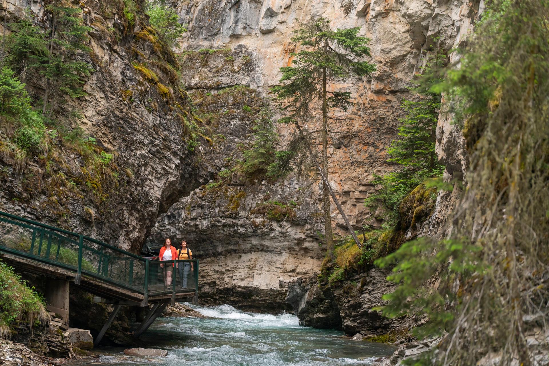 Two hikers pause on the elevated boardwalk in Johnston Canyon to admire the limestone canyon walls and rushing creek below, Banff National Park