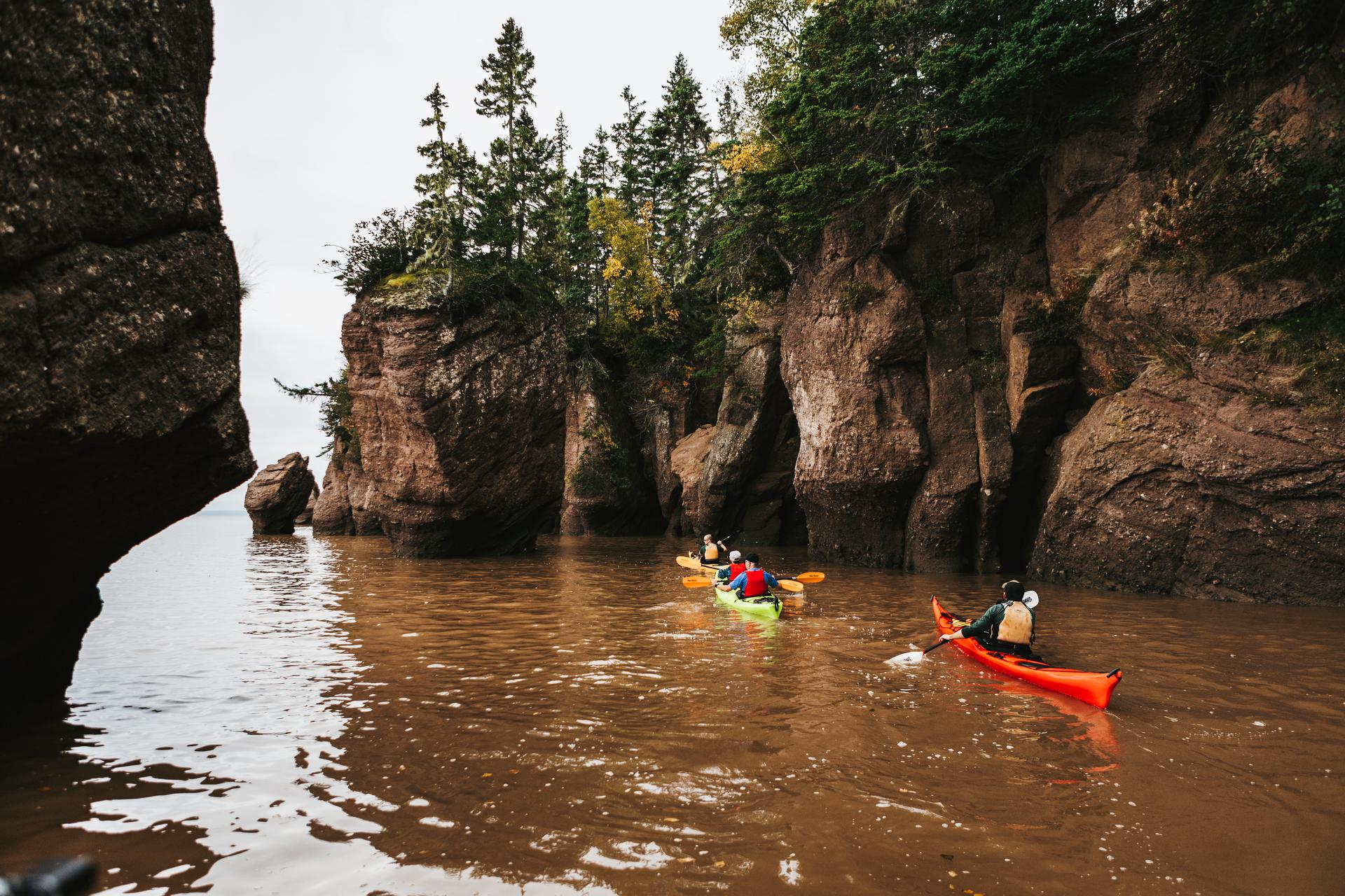 Kayakers paddling among the towering Hopewell Rocks sea stacks in New Brunswick at high tide, with forested tops rising above the water.