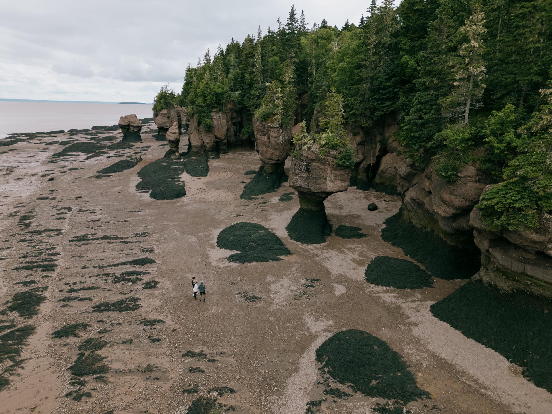Aerial view of the Hopewell Rocks in New Brunswick at low tide, with people walking the exposed ocean floor beneath the flowerpot sea stacks.