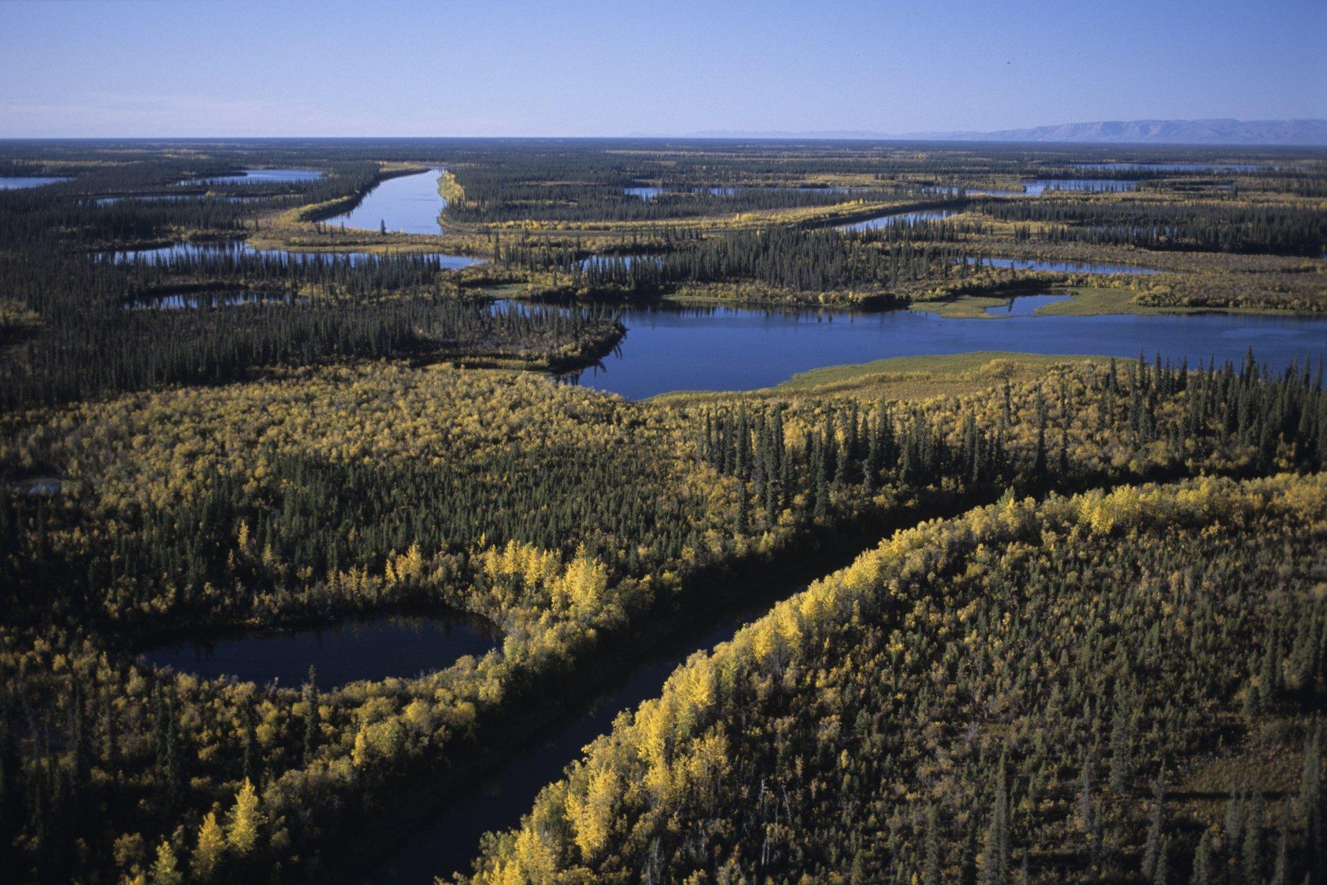 Mackenzie River Trail, Northwest Territories - credit: Terry Parker