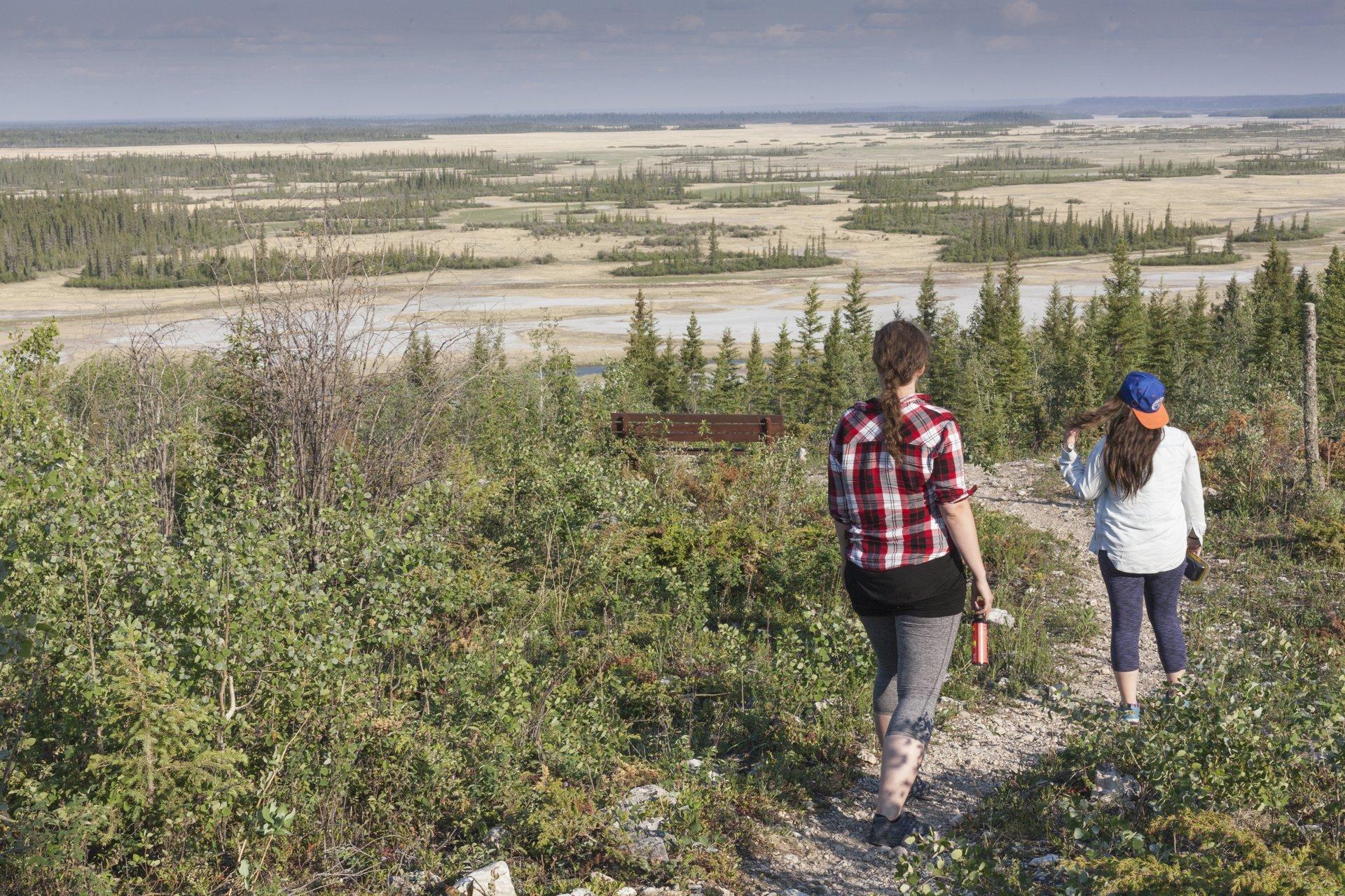 People walking a trail in Wood Buffalo National Park