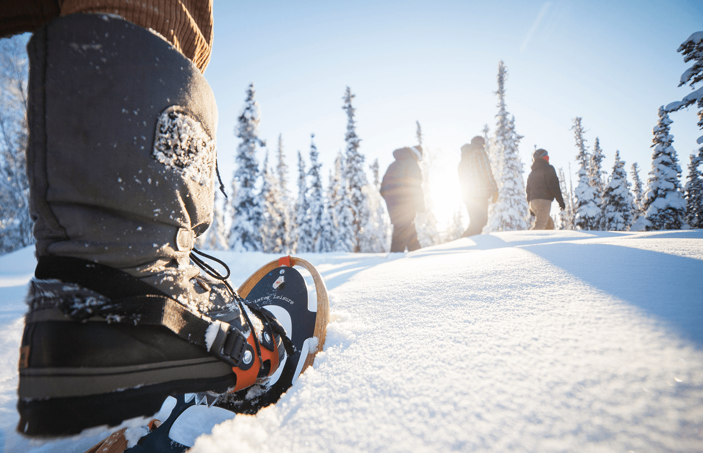 12 Cool Ways to Make Tracks in the Northwest Territories in Winter