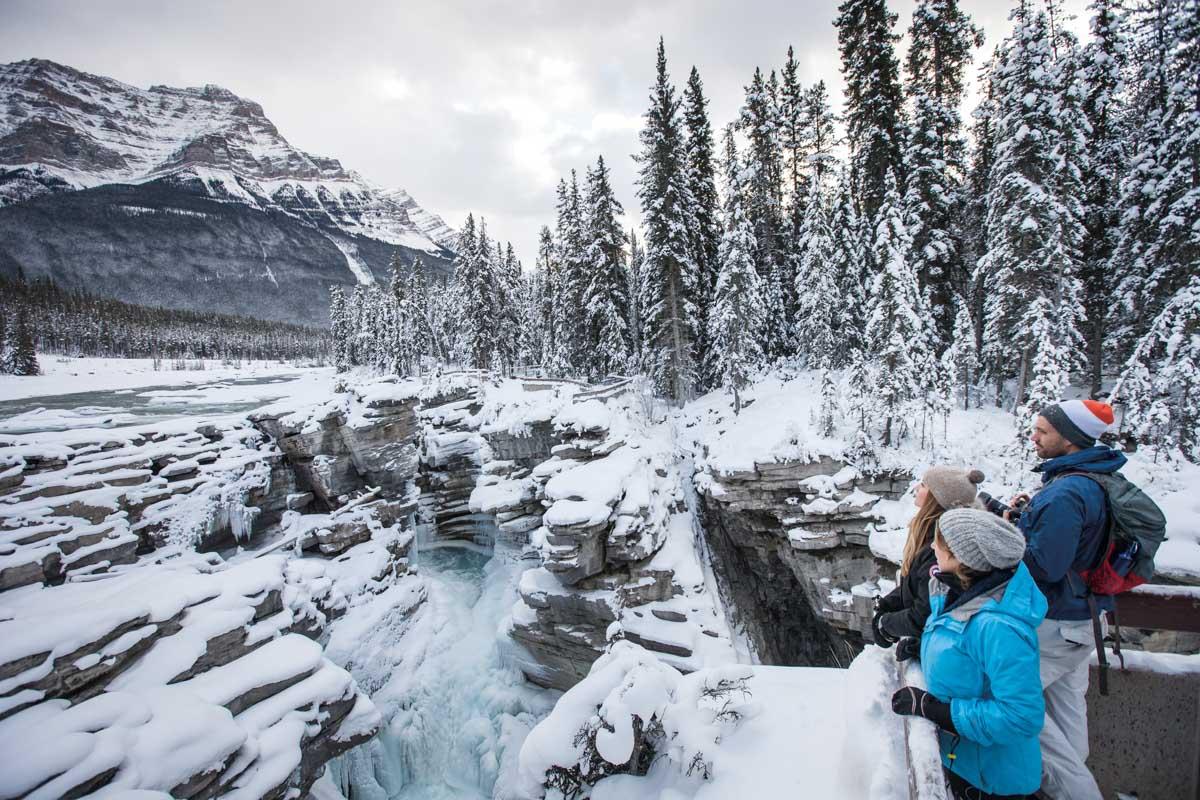 Athabasca Falls in Jasper National Park, Alberta 