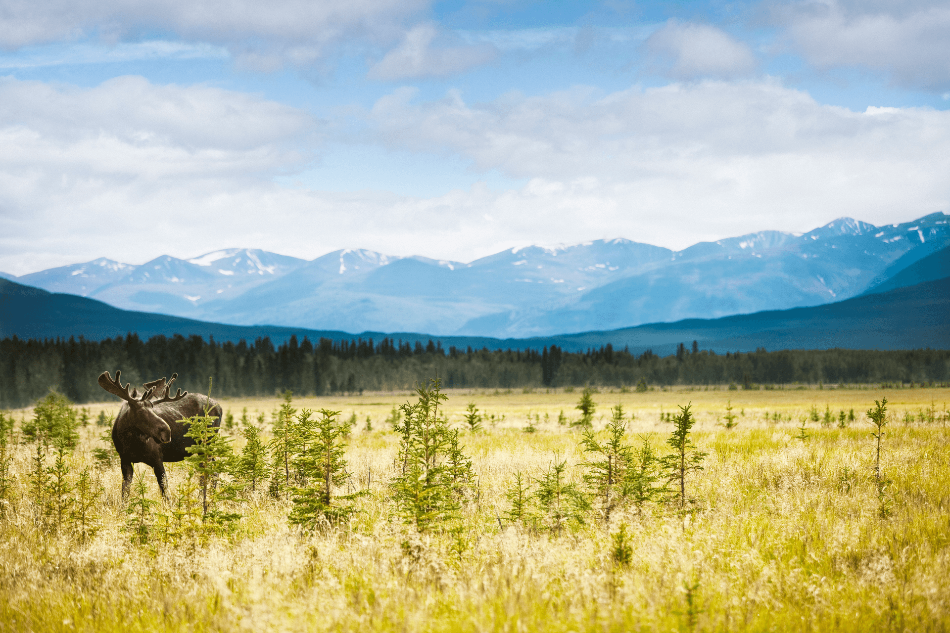 Kluane National Park