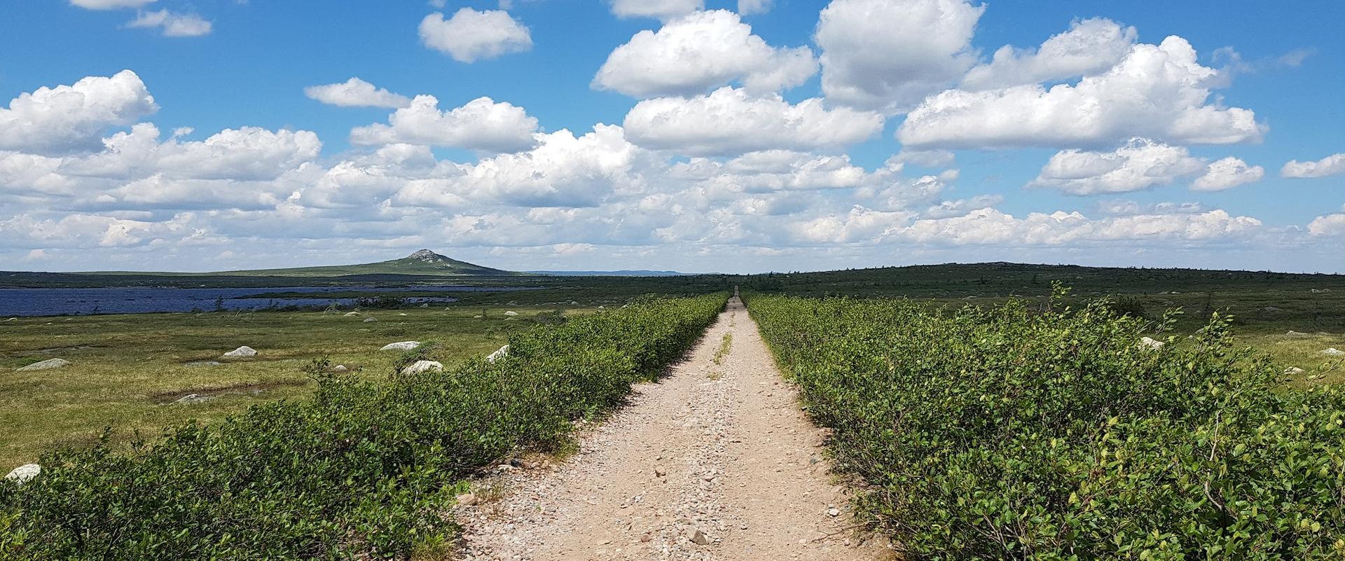 Newfoundland: T’Railway Trail