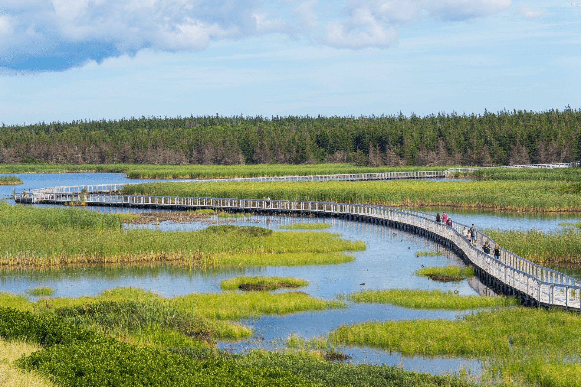 Greenwich Boardwalk in Prince Edward Island National Park