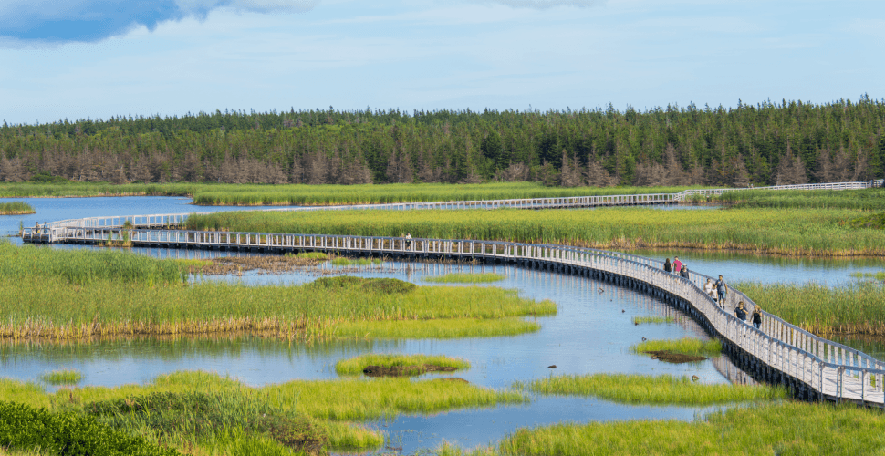 El PEI National Park