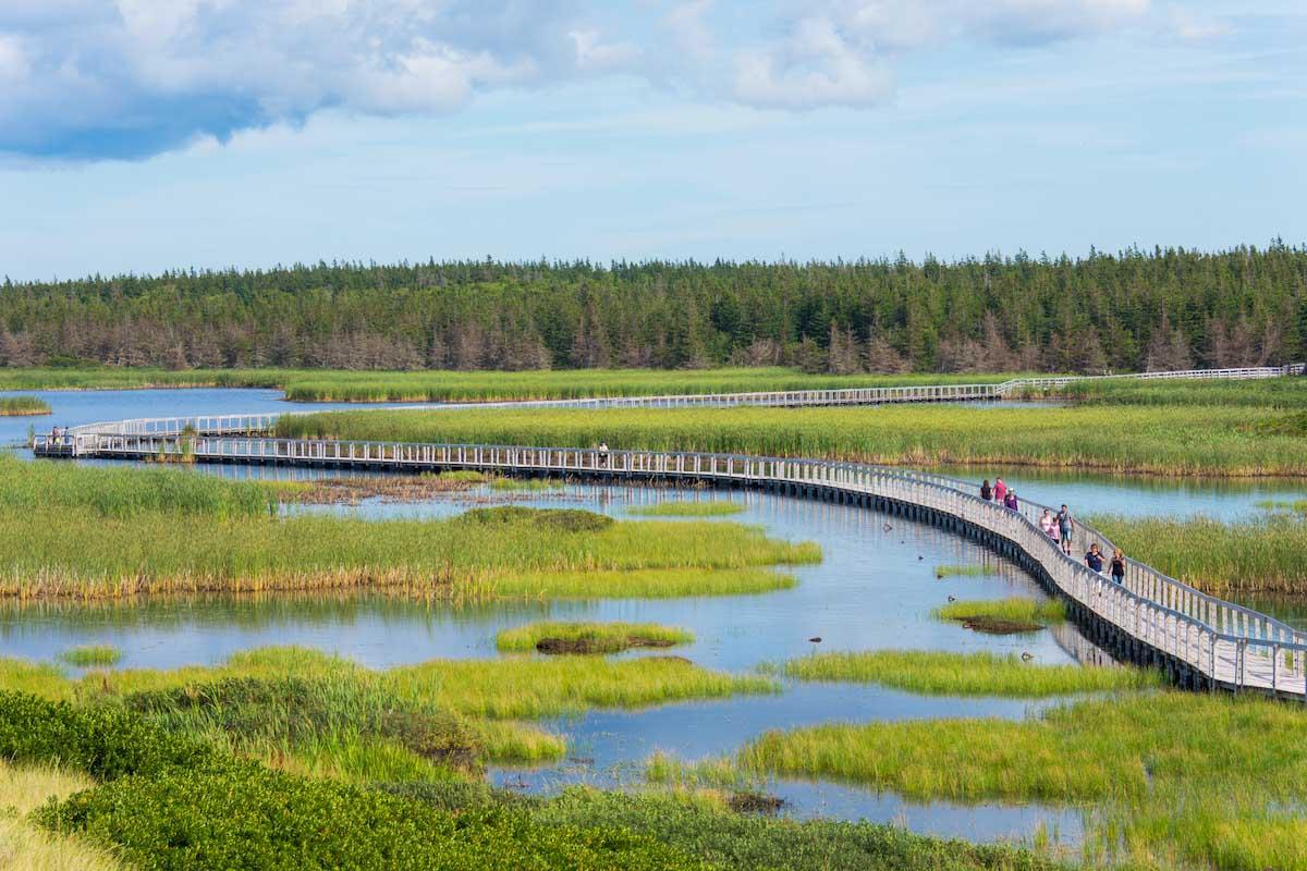 Greenwich Boardwalk, Prince Edward Island National Park