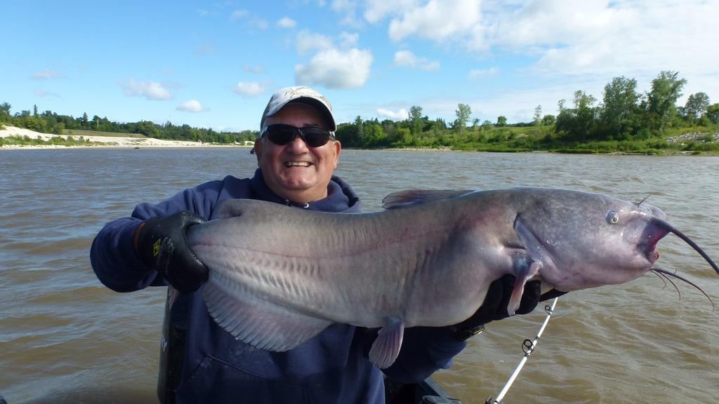 Channel catfish