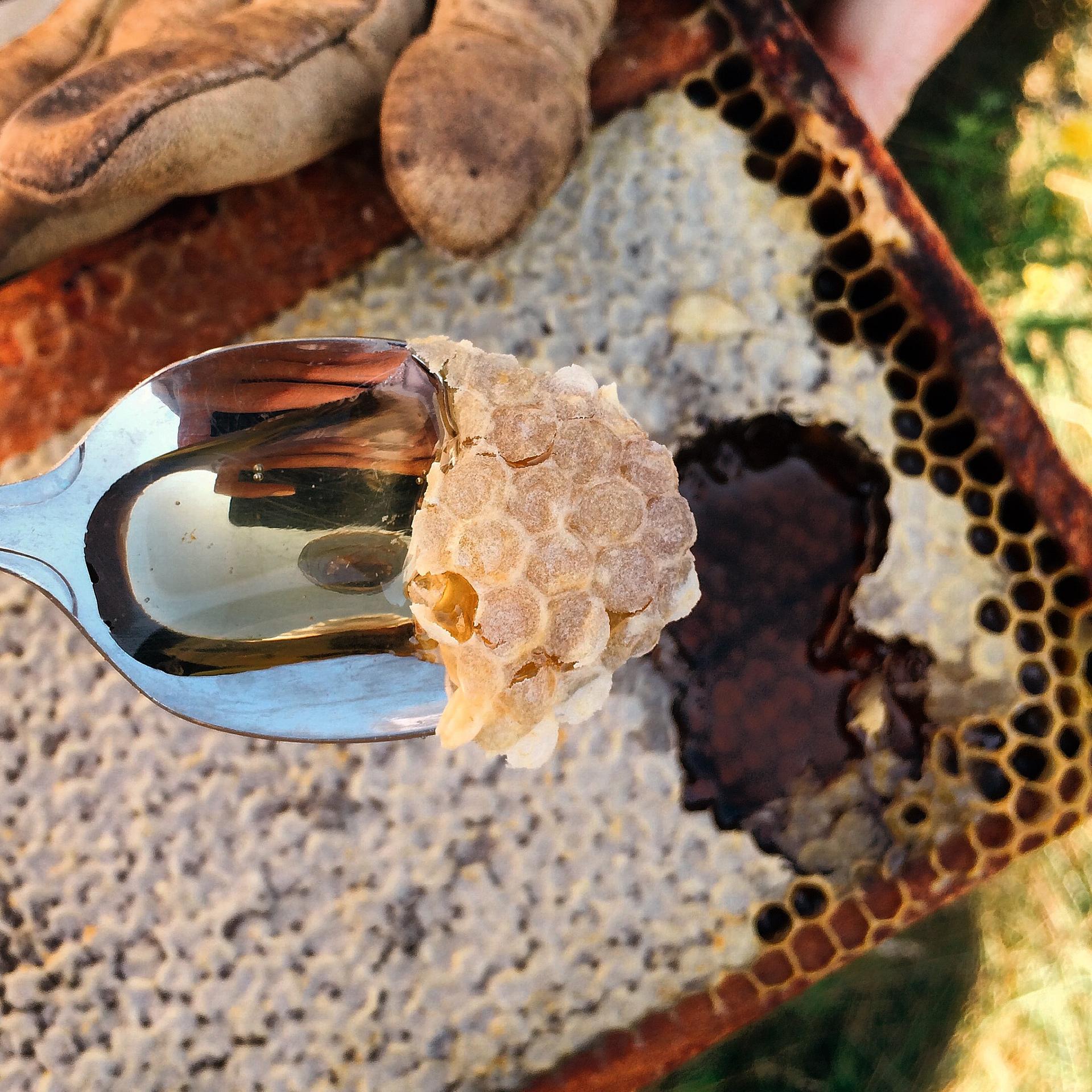Island Gold Honey