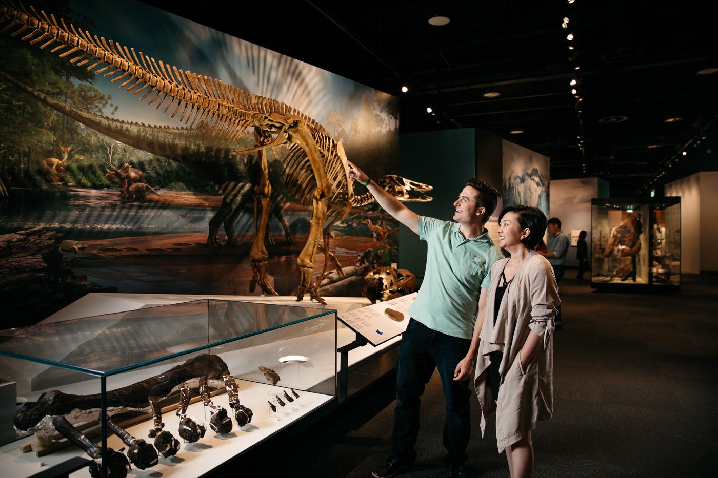 Musée royal de l’Alberta