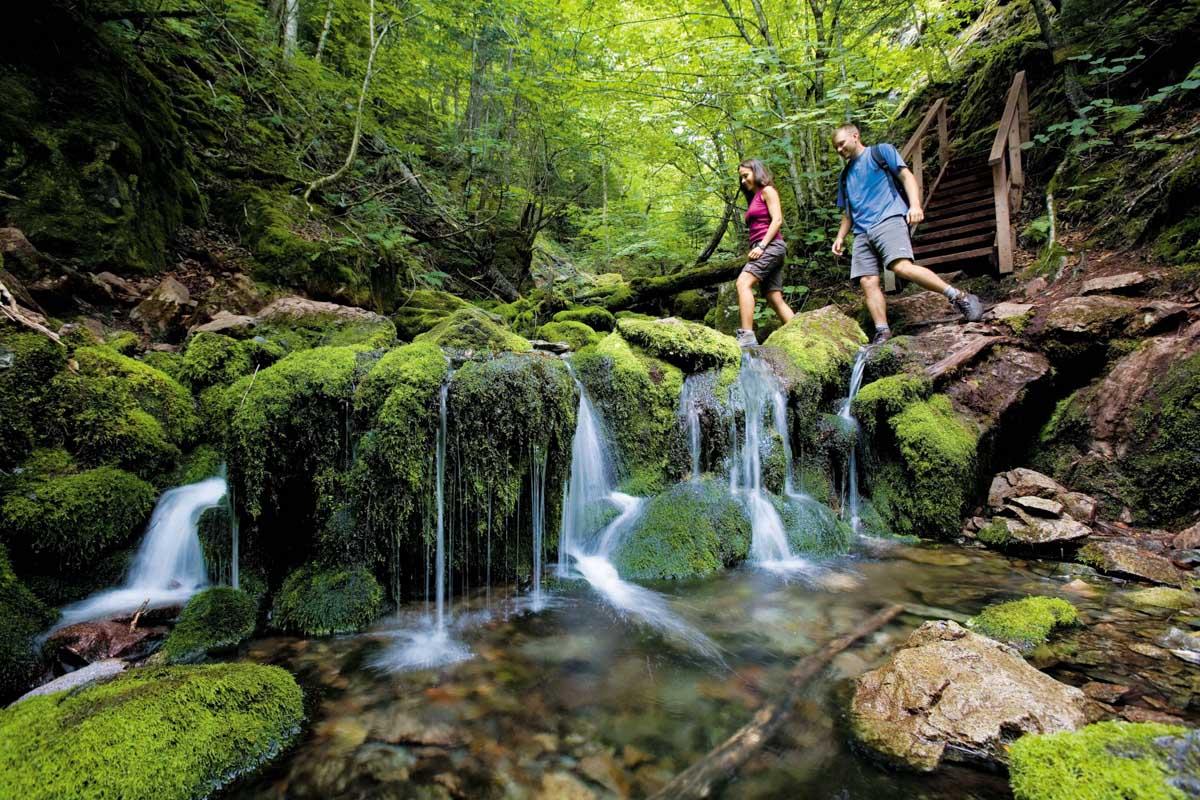 Fundy National Park, New Brunswick