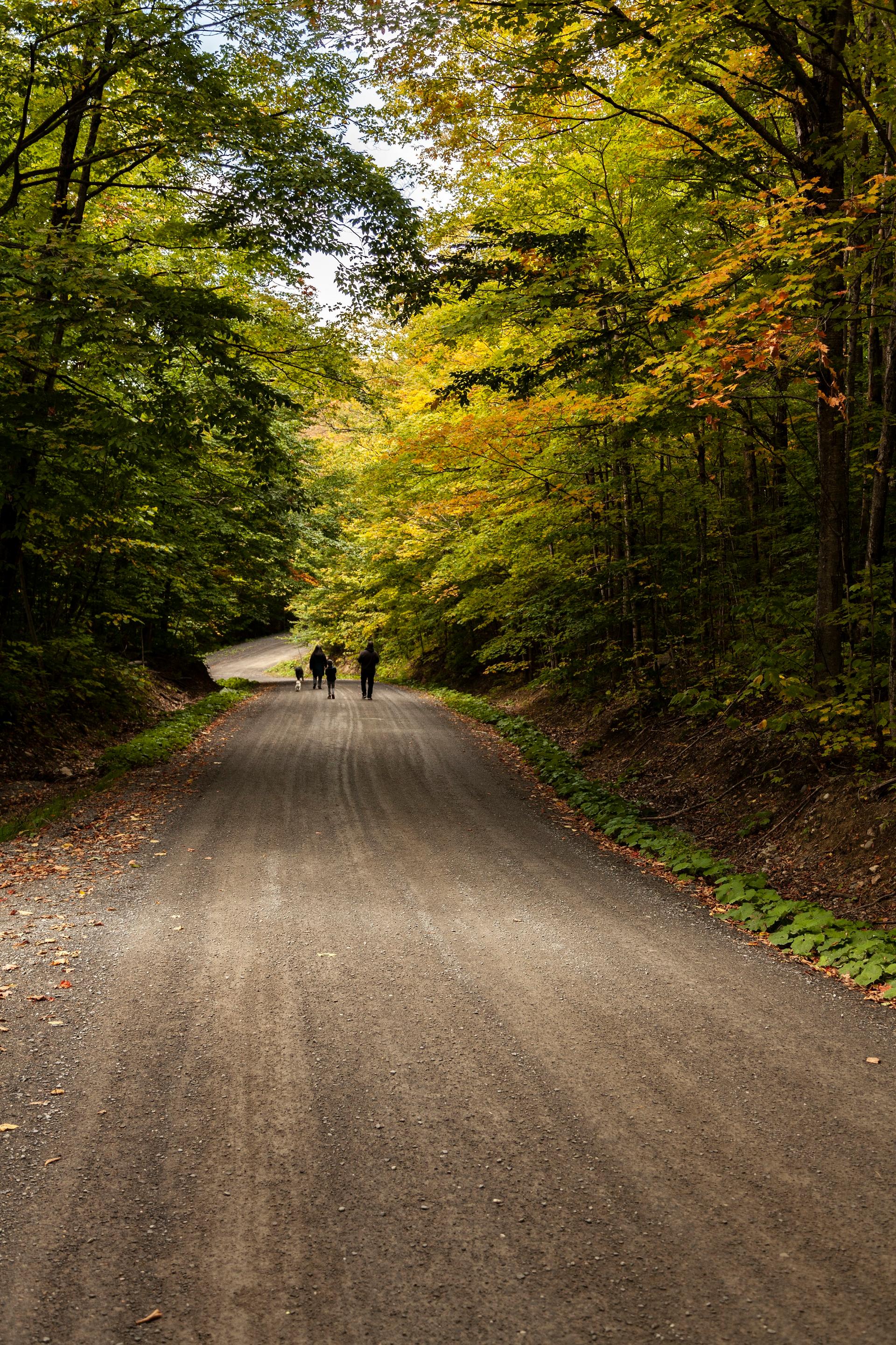 La Monteregie, Eastern Townships, Quebec - credit: Andrew Quenneville