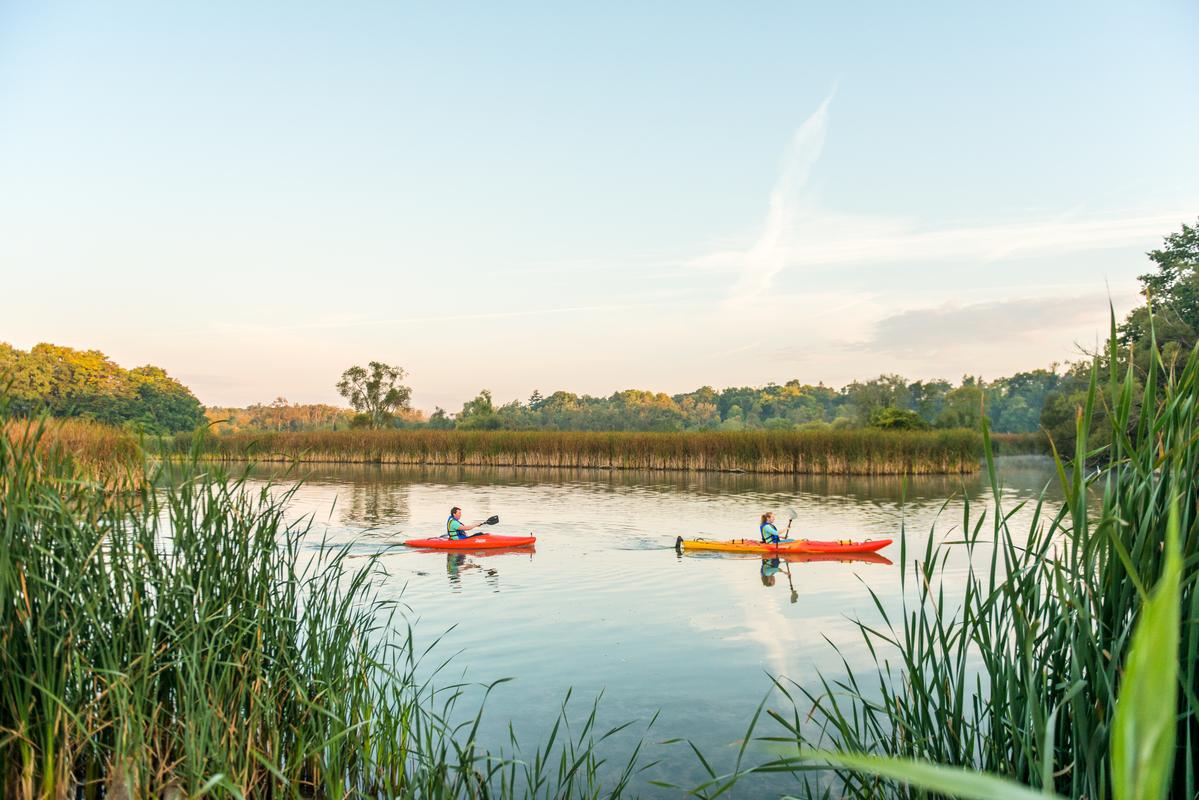People kayaking on Rouge National Urban Park in Ontario