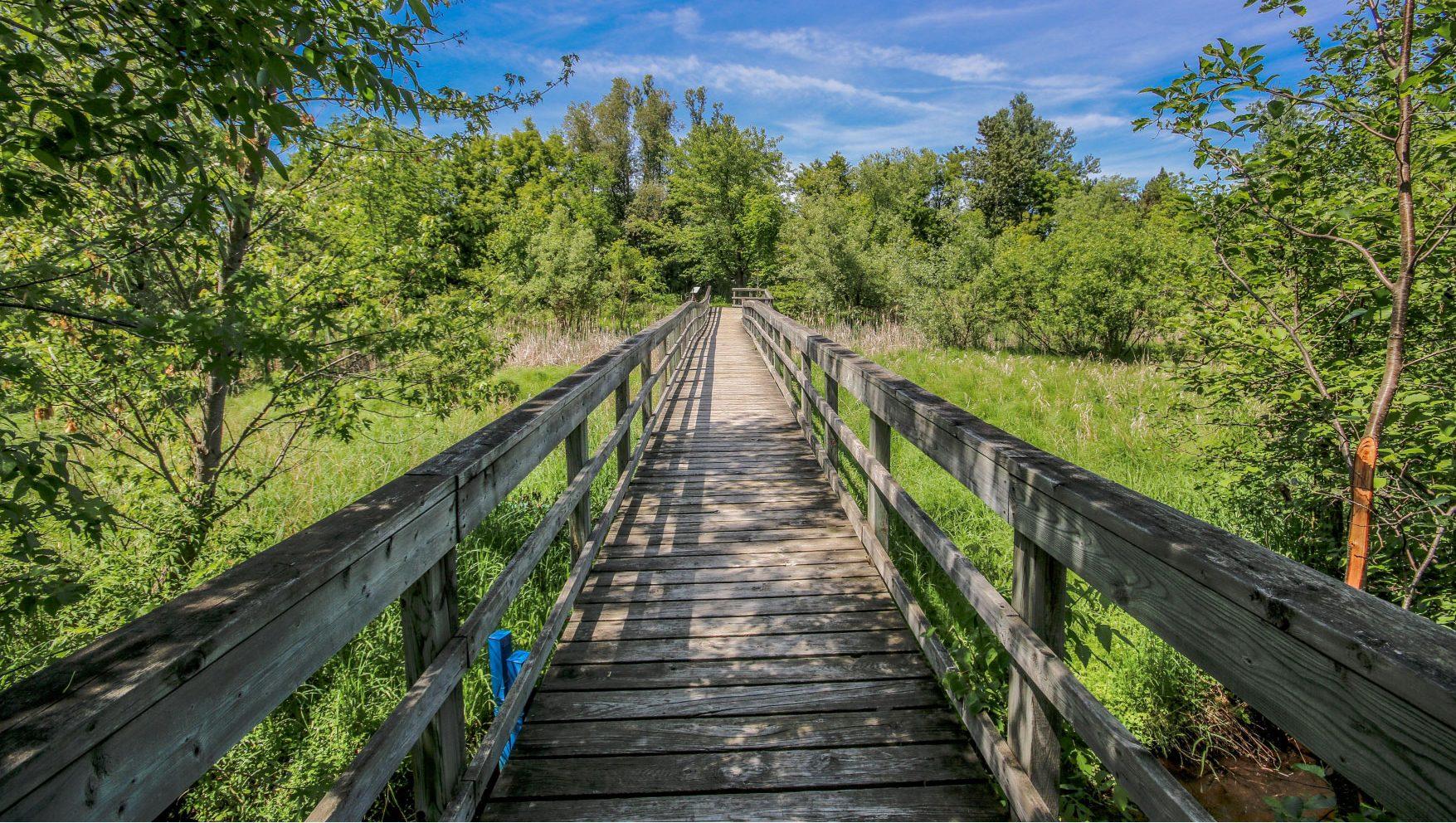 Caledon Trailway, Ontario - credit: Mira Budd