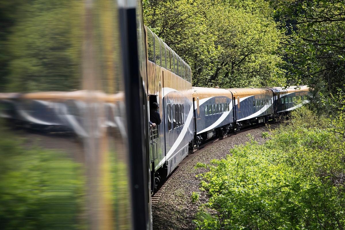 Contrast of landscapes