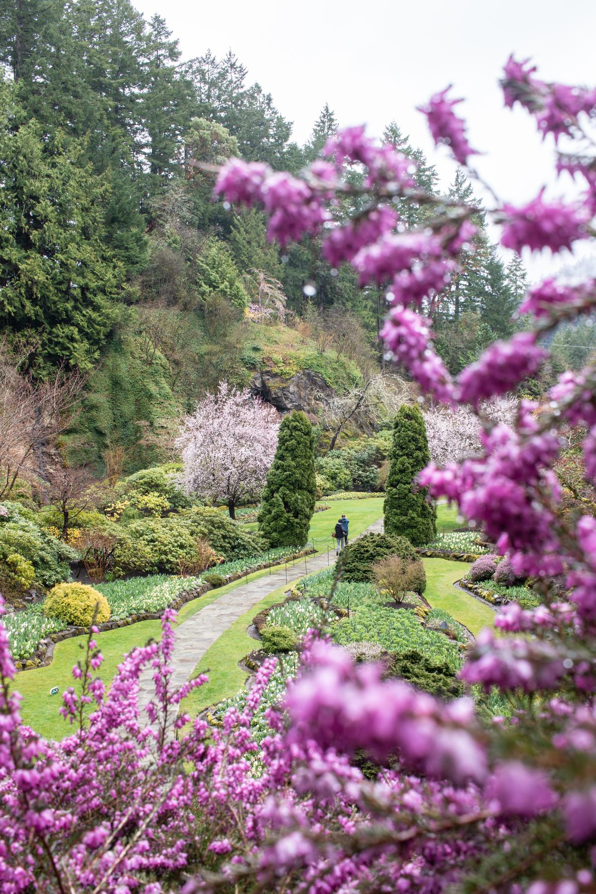 Photo of The Butchart Gardens in the spring