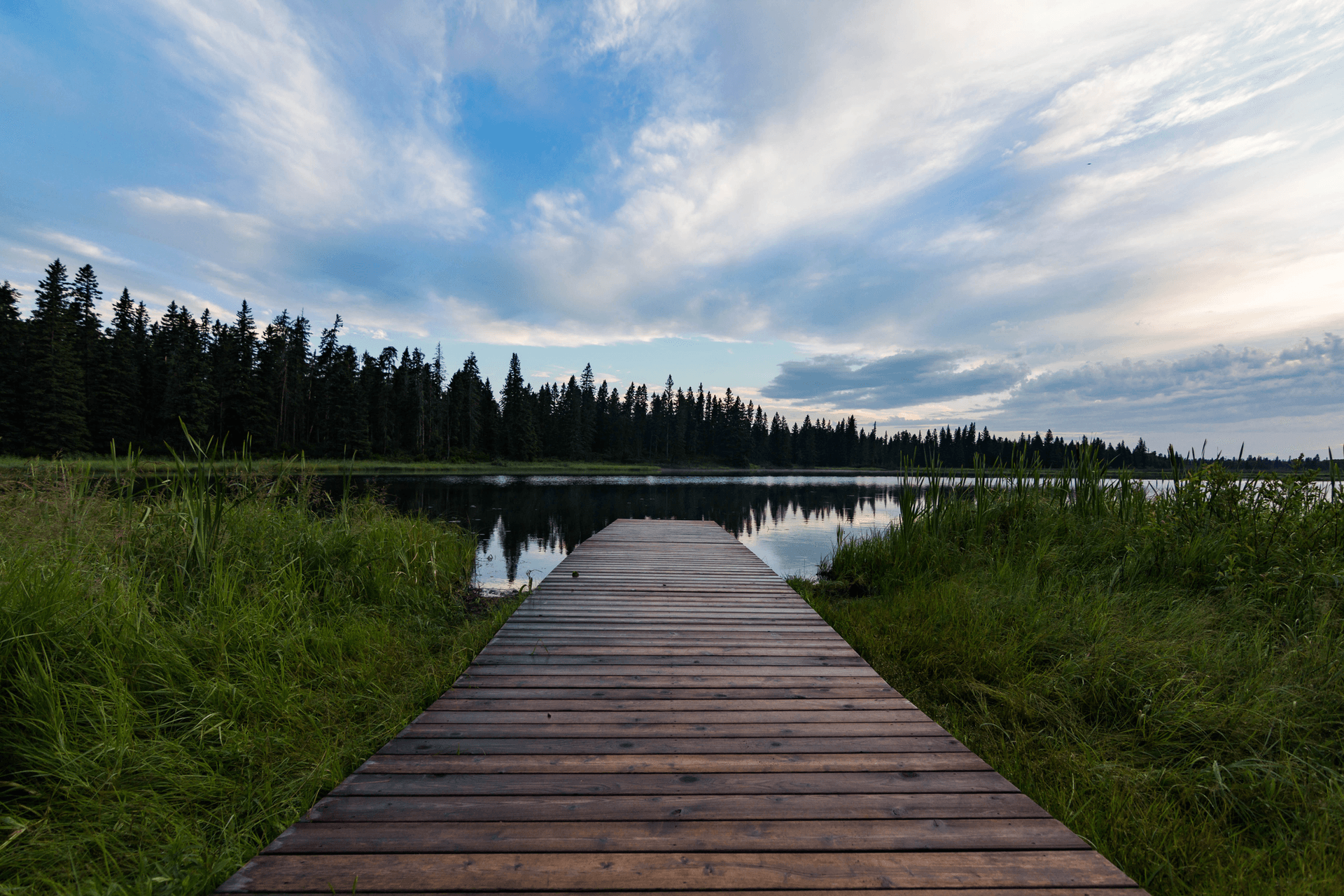 a boardwalk in Riding Mountain National Park, Manitoba
