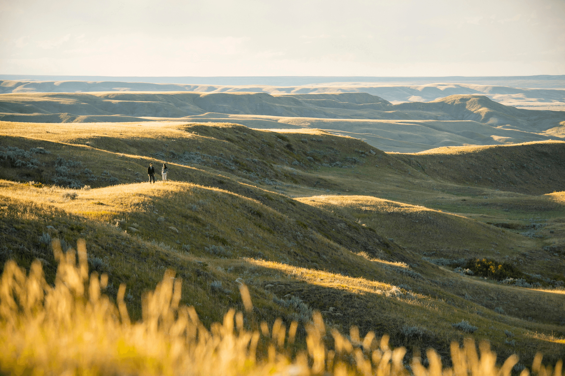 rolling hills in Grasslands National Park