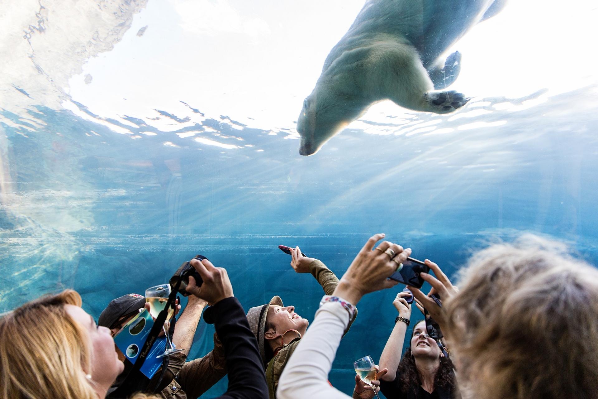 Assiniboine Park Zoo