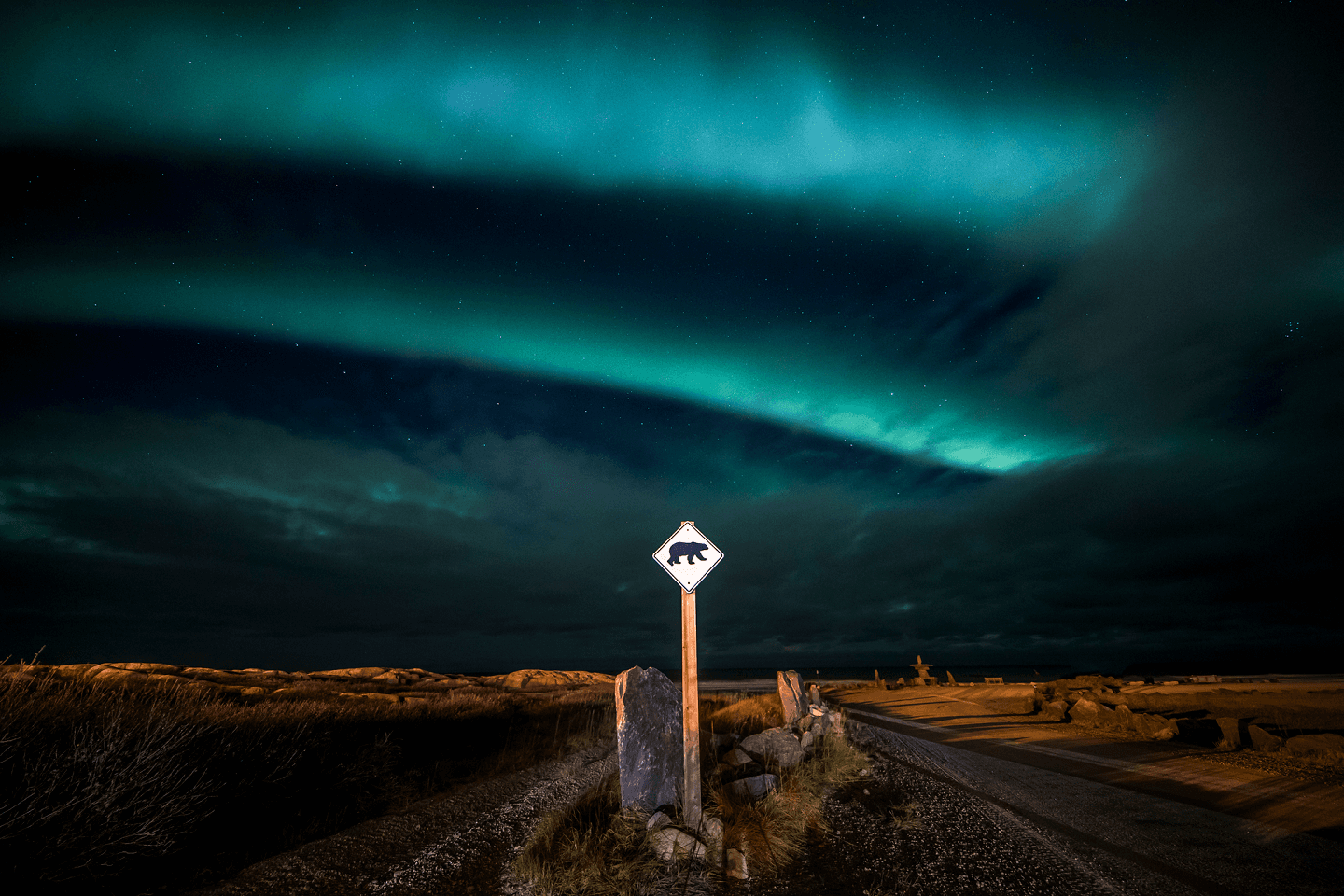自宅で楽しむ大自然・野生生物
