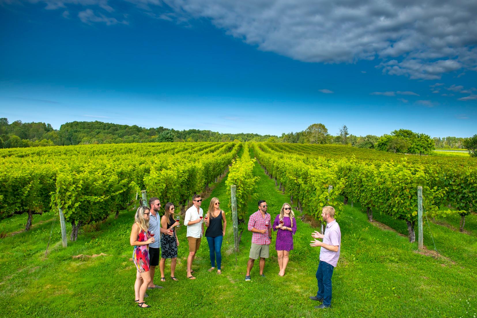 Avondale Sky Winery, Nova Scotia