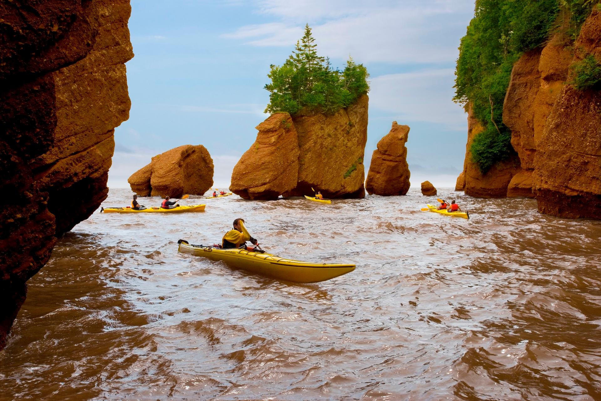 Bay of Fundy, Hopewell Rocks