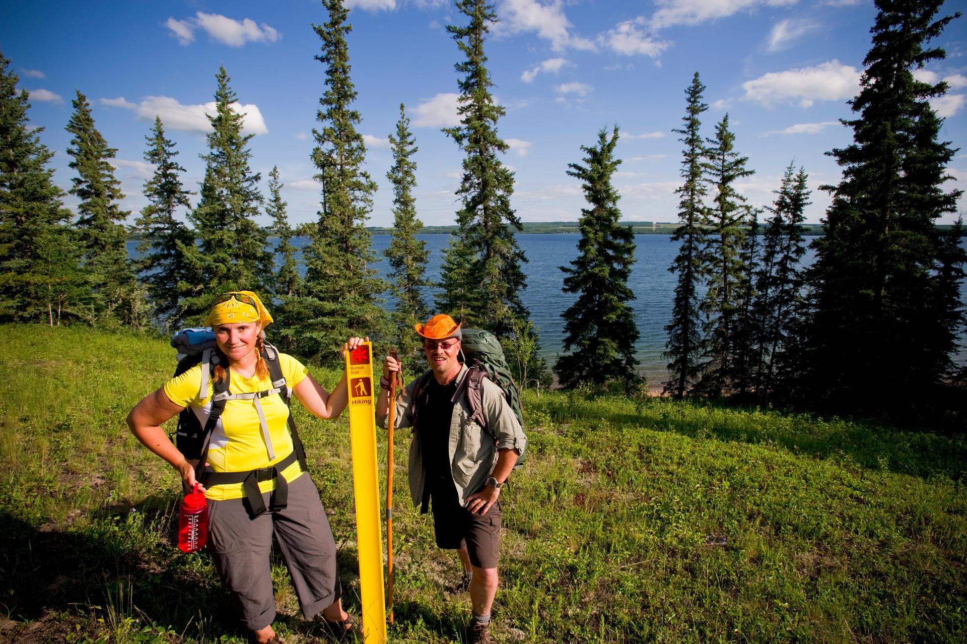 The Boreal Trail