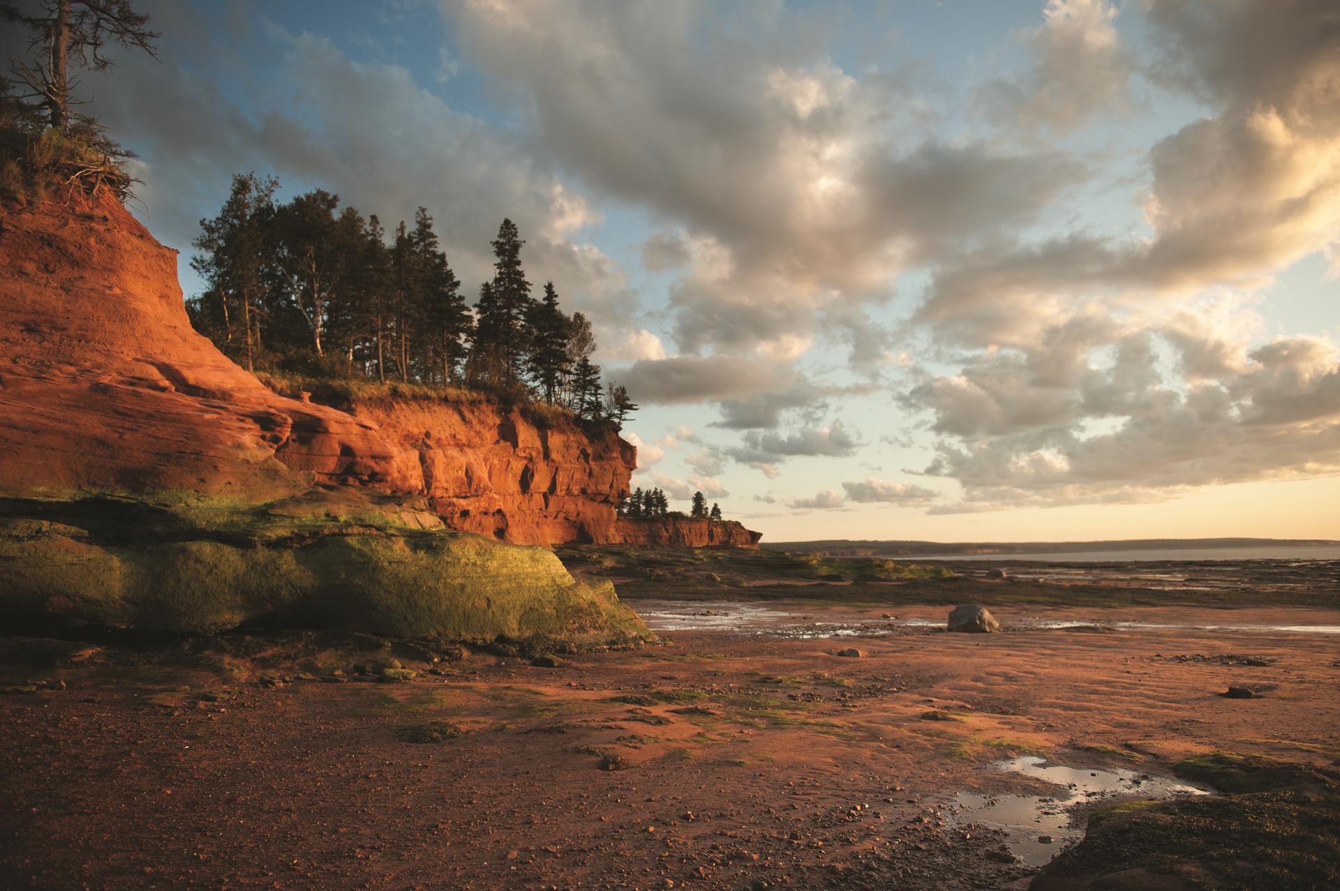 Burntcoast Head Park